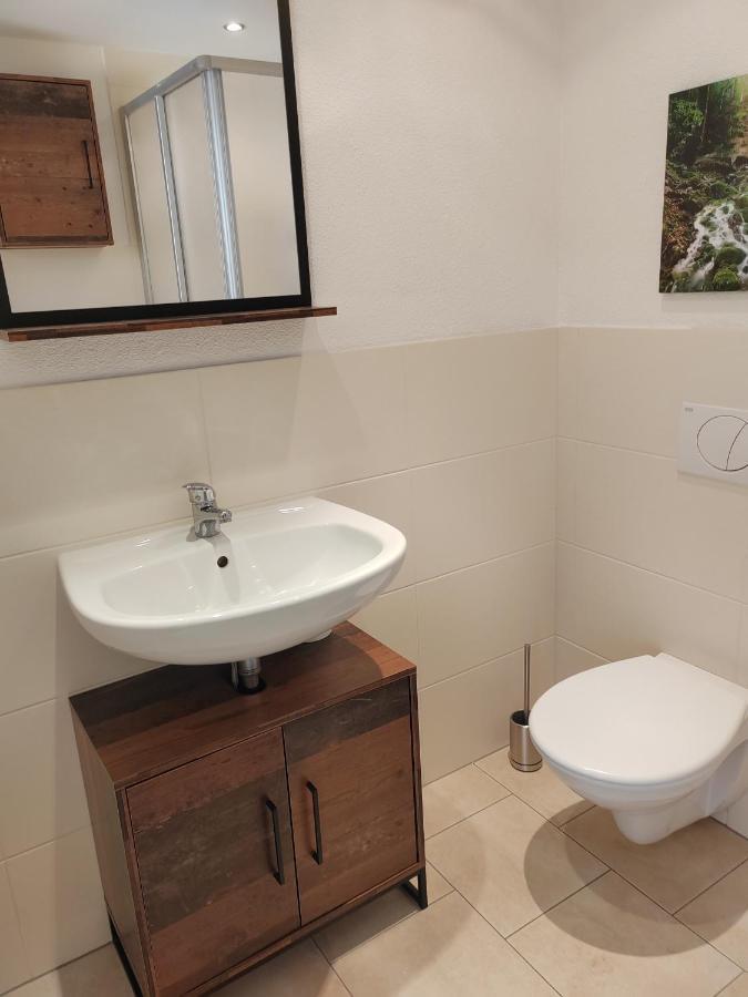 Ferienwohnung Elbtraum Pirna Buitenkant foto